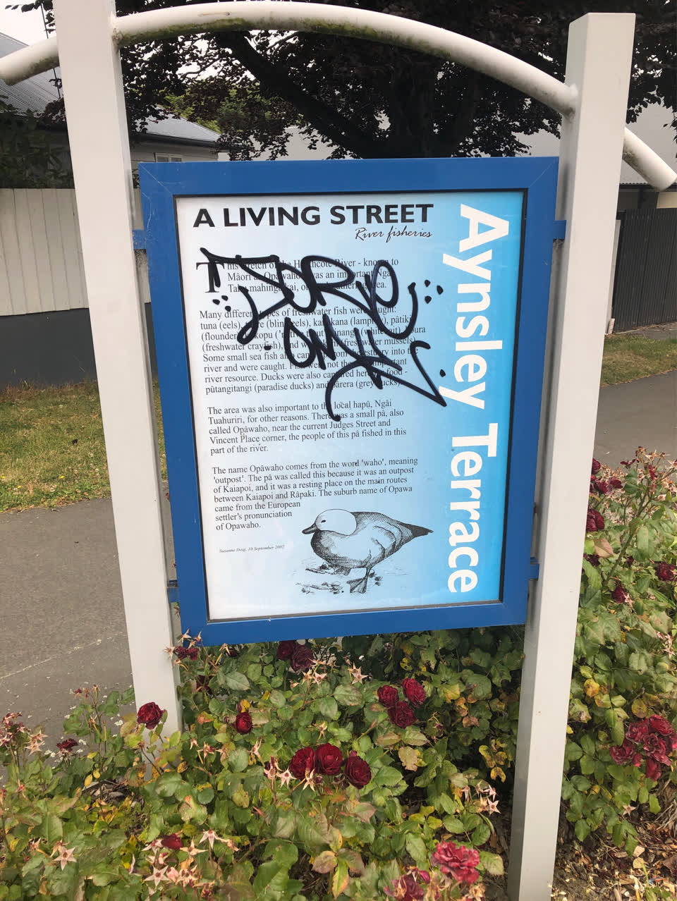 The photograph attached to this graffiti report
