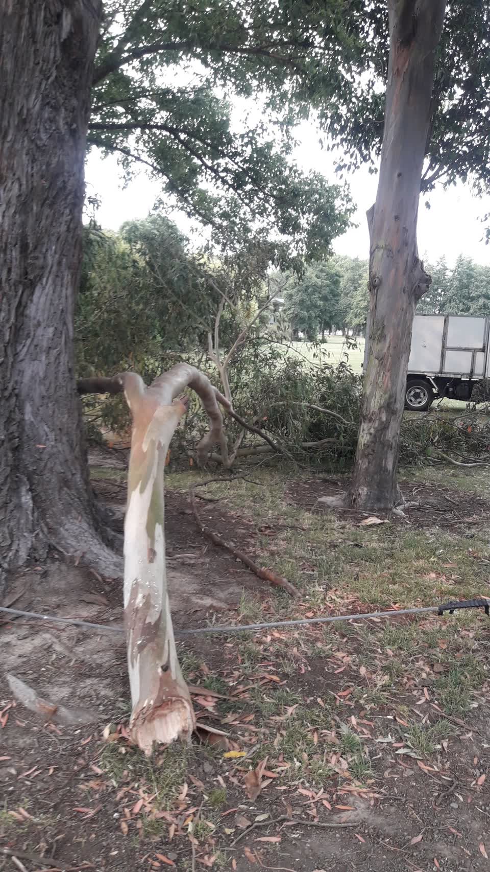The photograph attached to this parks report