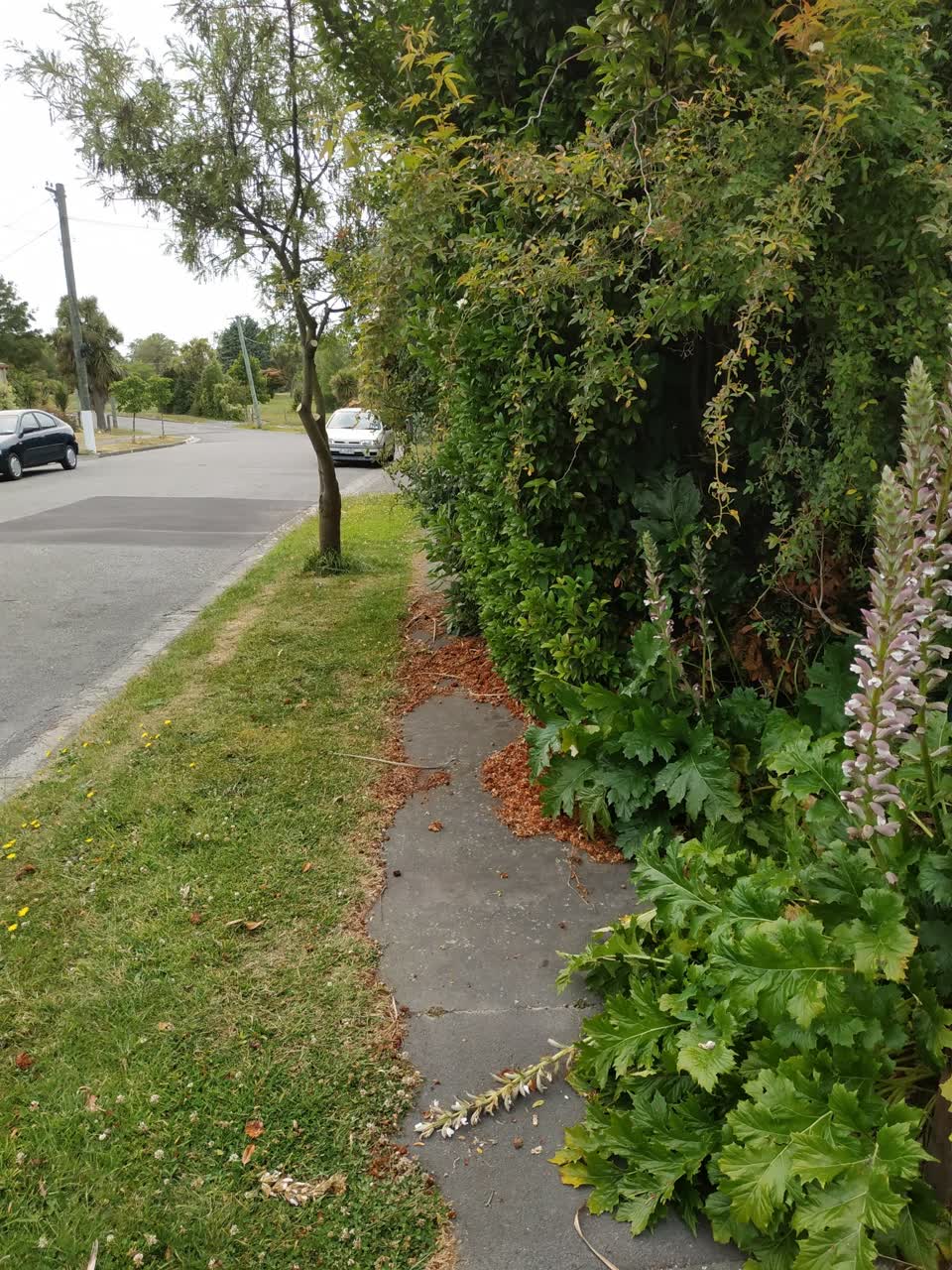 The photograph attached to this roading/streets report