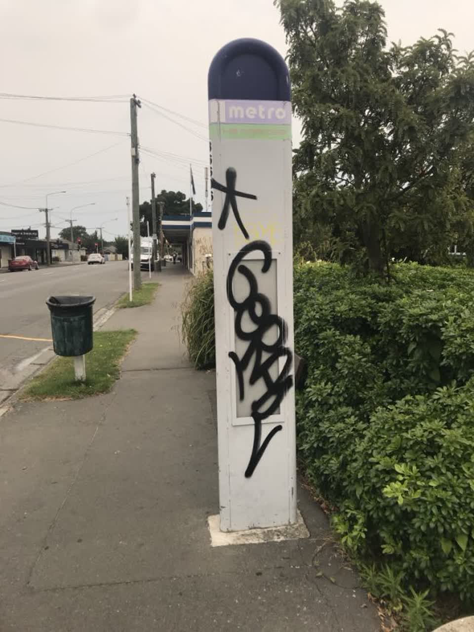 The photograph attached to this graffiti report