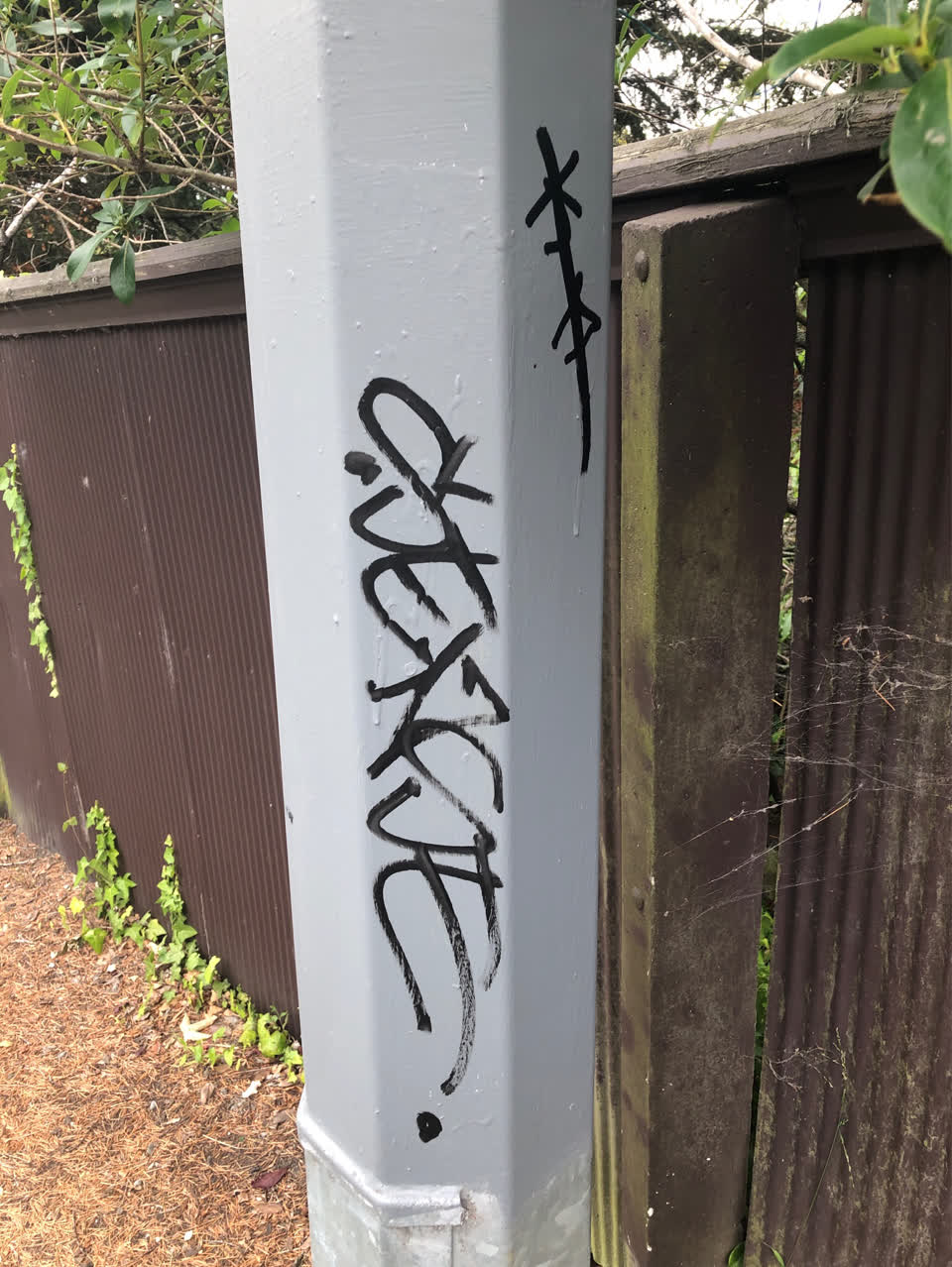 The photograph attached to this graffiti report