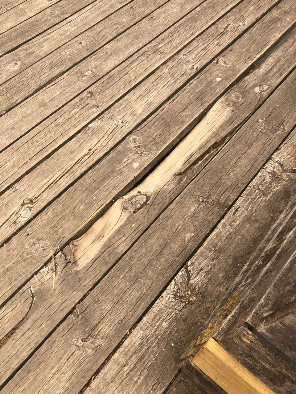 The photograph attached to this parks report
