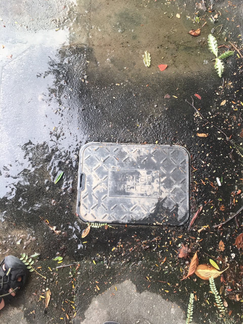 The photograph attached to this water supply report