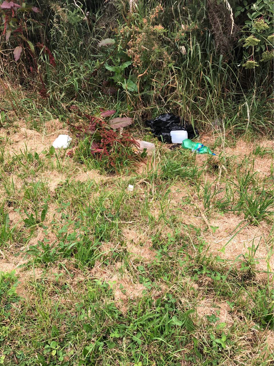 The photograph attached to this rubbish/recycling report