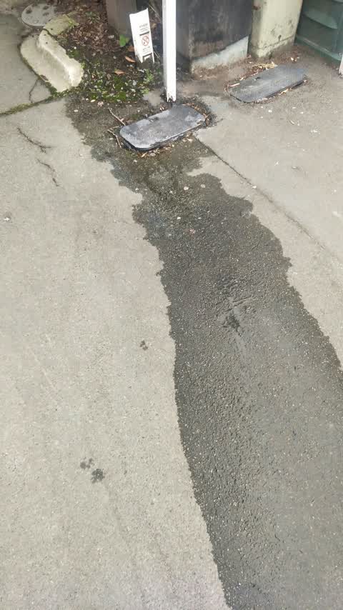 Water Supply, a report photo