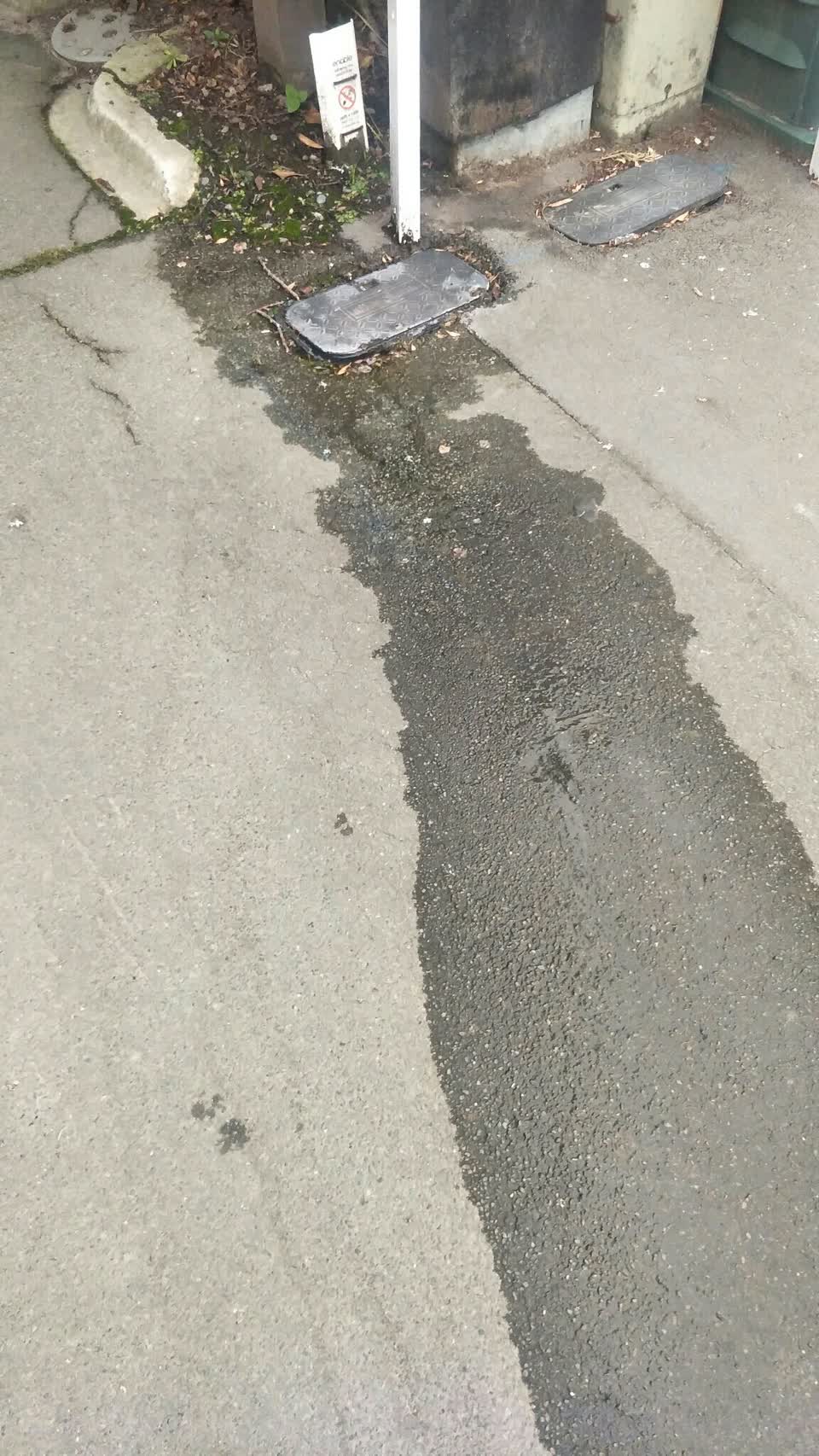 The photograph attached to this water supply report