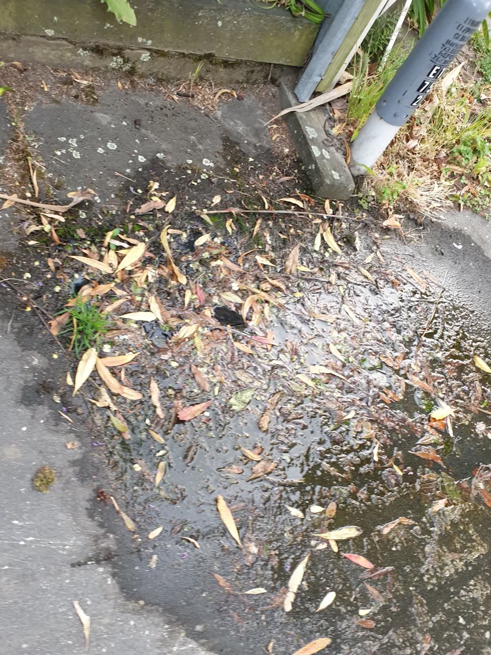 The photograph attached to this water supply report