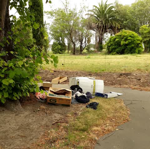 Rubbish/Recycling, a report photo