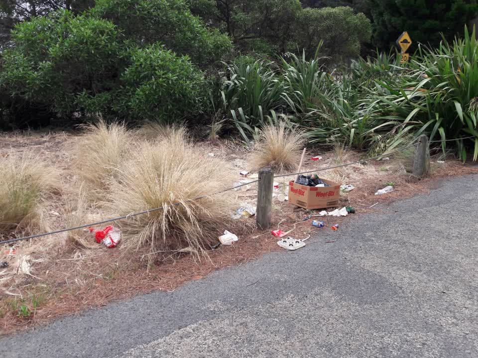 The photograph attached to this parks report