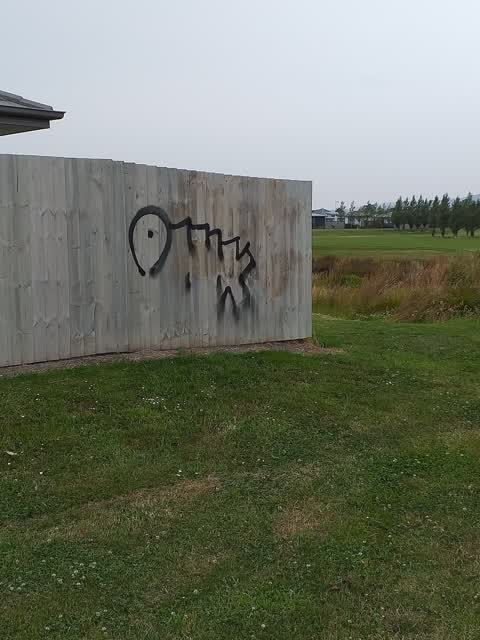 Graffiti, a report photo