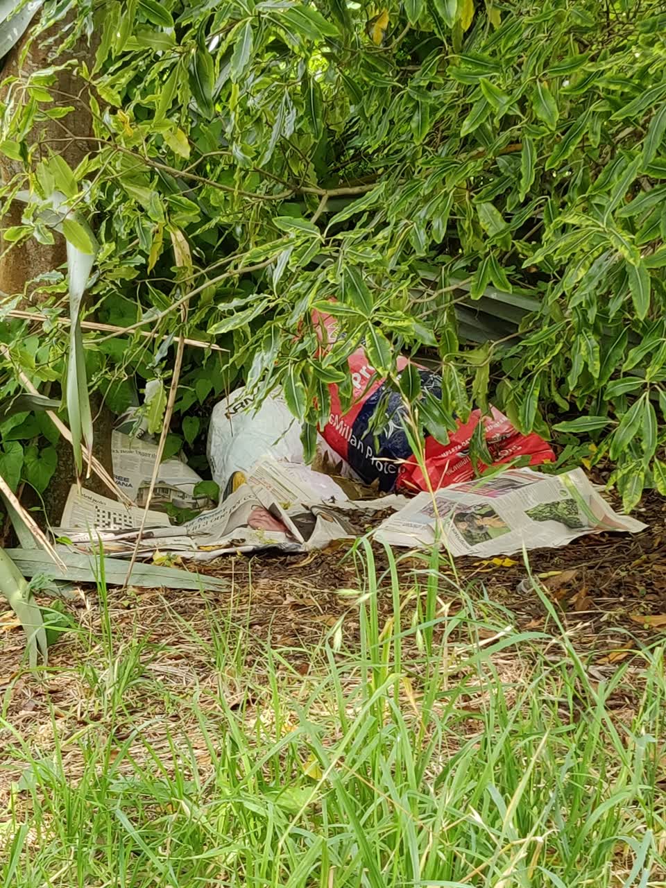 The photograph attached to this rubbish/recycling report