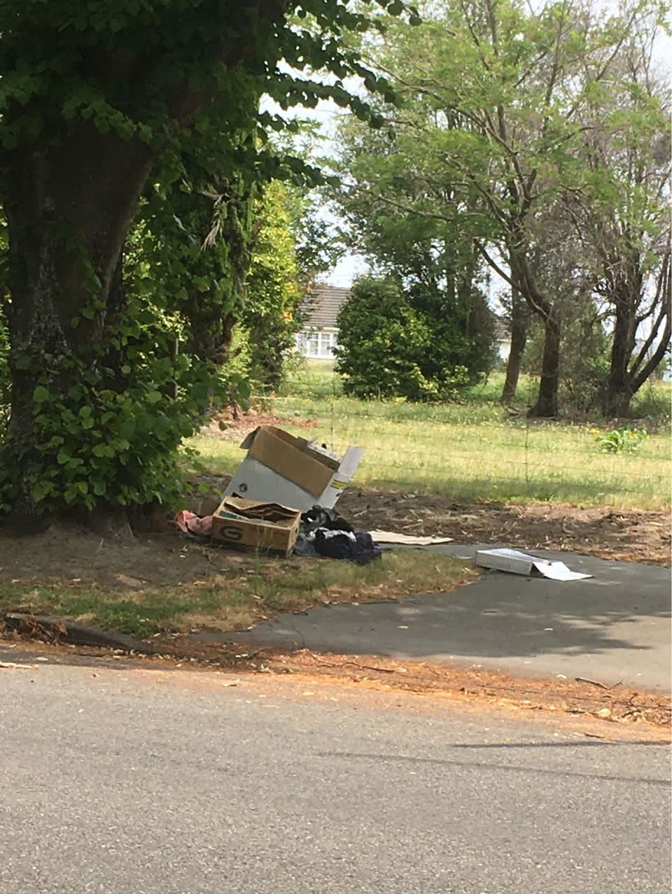 The photograph attached to this rubbish/recycling report