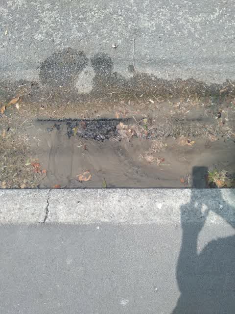 Wastewater/Stormwater, a report photo