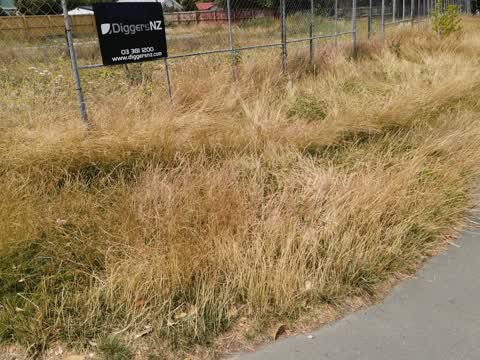 Roading/Streets, a report photo