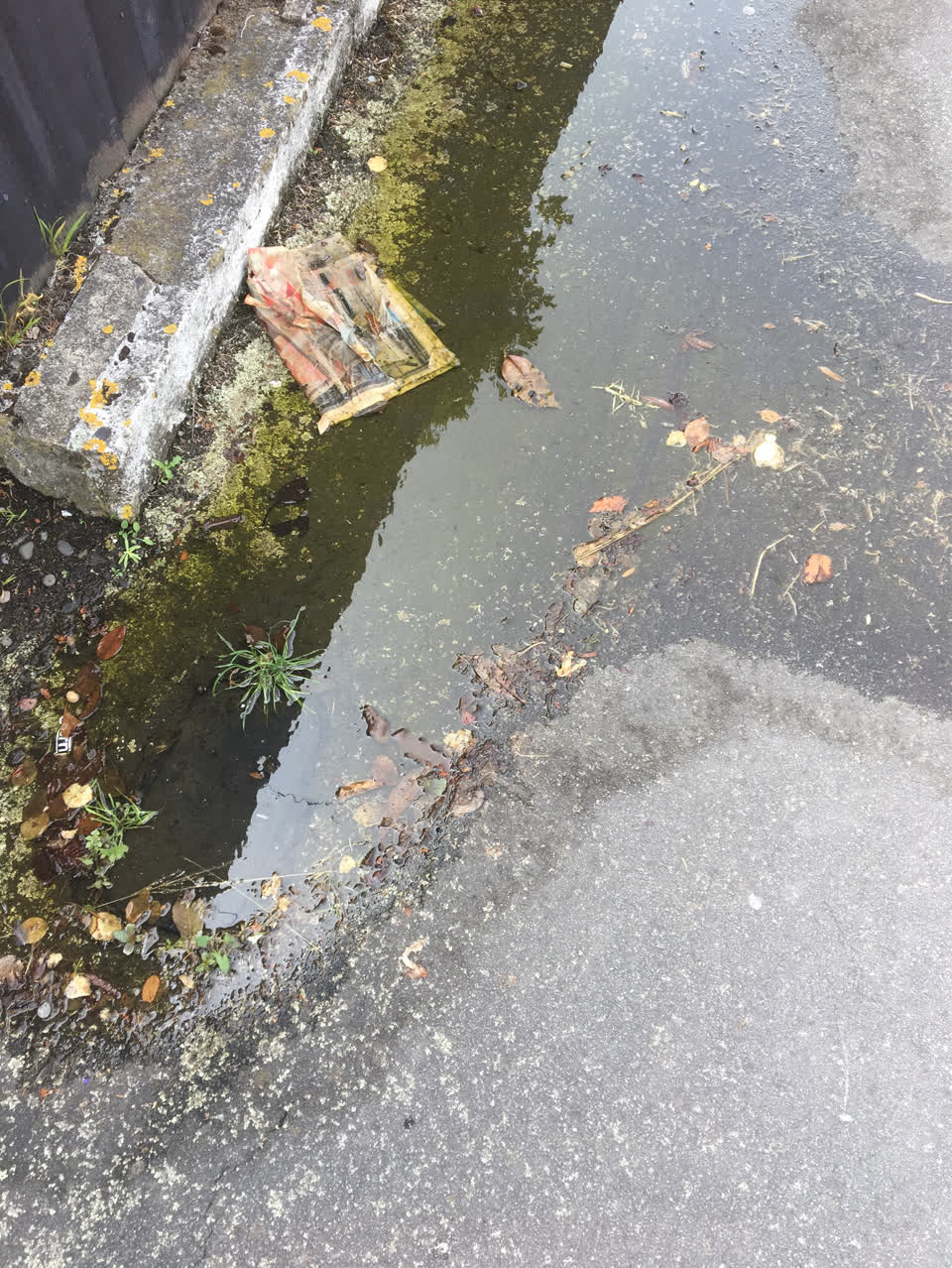 The photograph attached to this water supply report