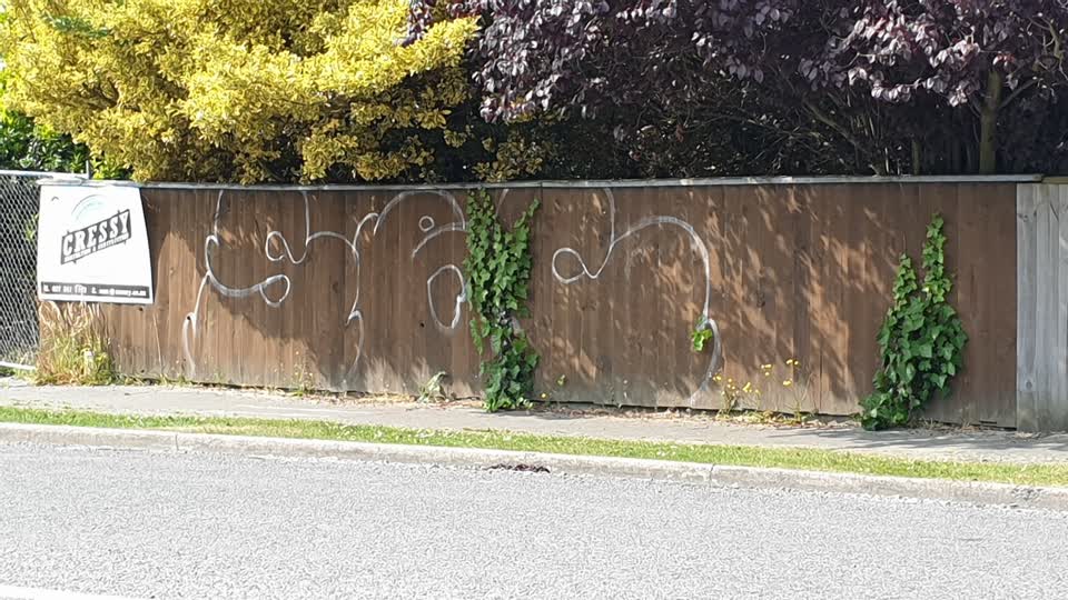 The photograph attached to this graffiti report