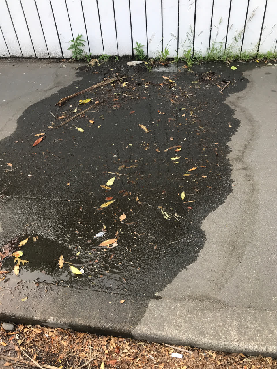 The photograph attached to this water supply report