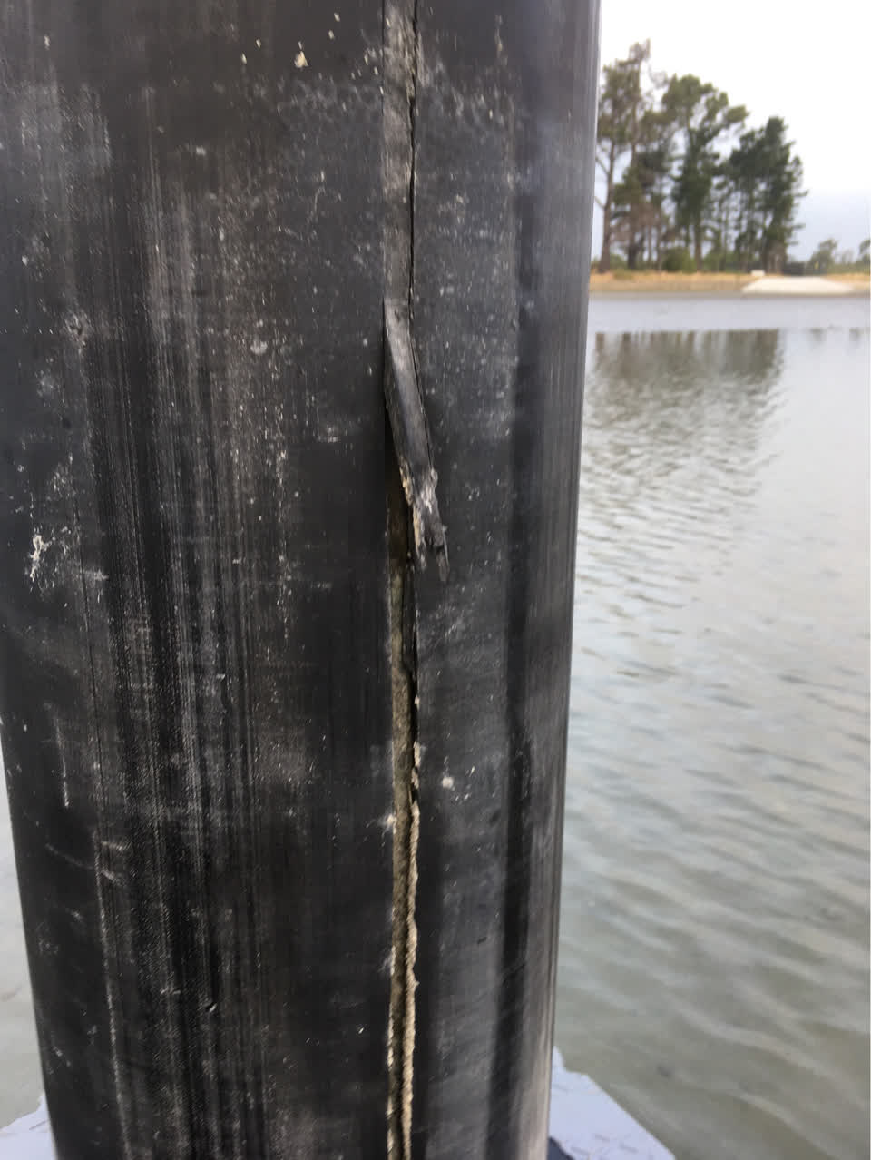 The photograph attached to this parks report