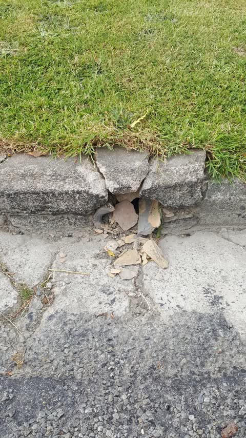 Wastewater/Stormwater, a report photo
