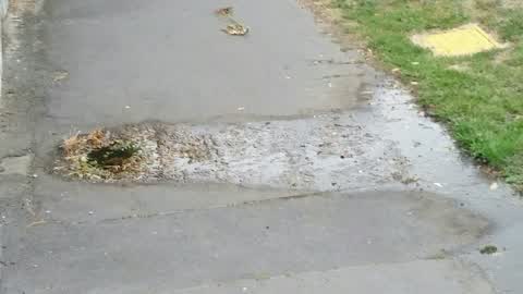 Water Supply, a report photo
