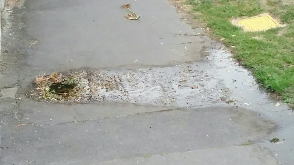 The photograph attached to this water supply report