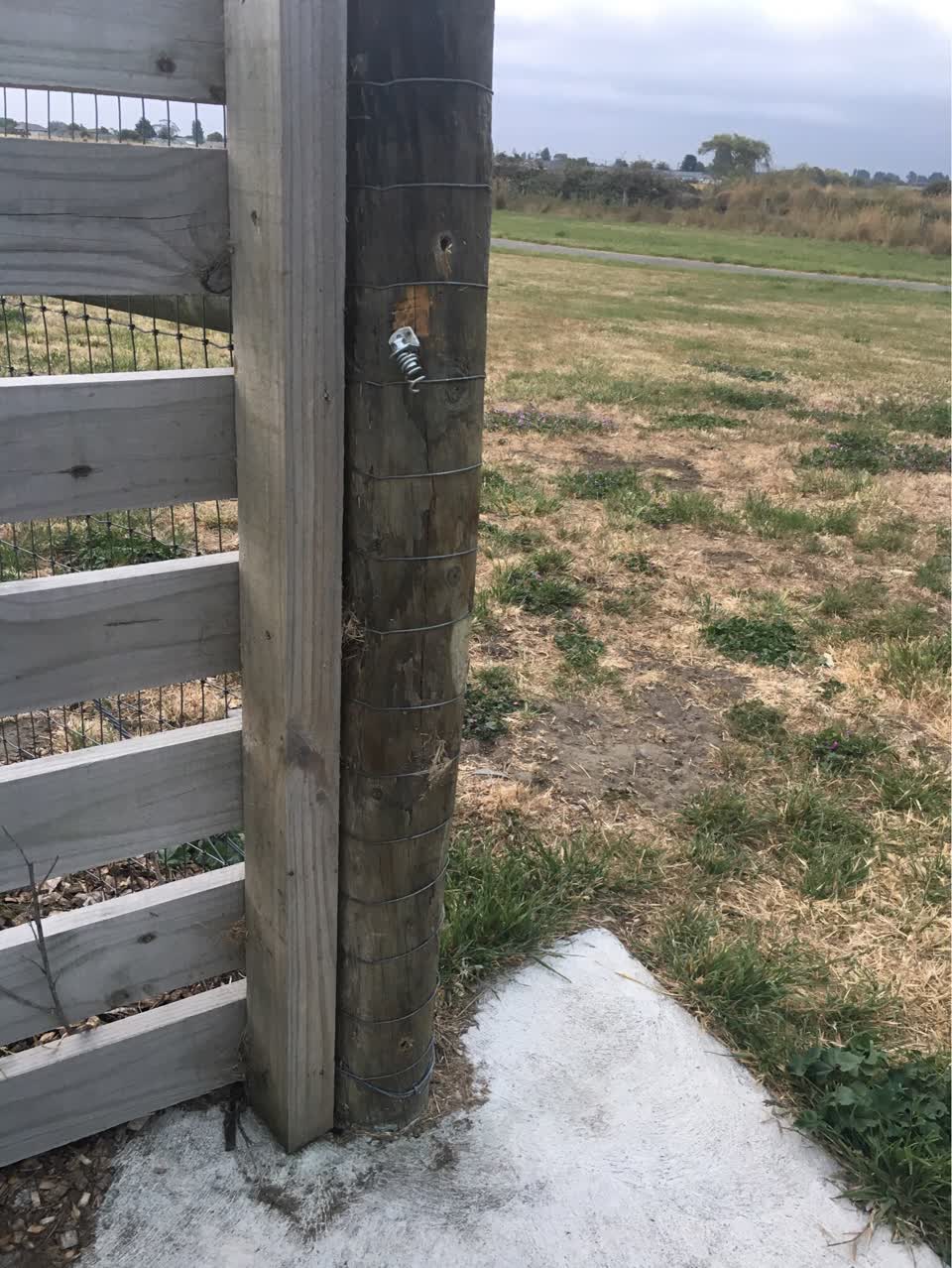 The photograph attached to this parks report