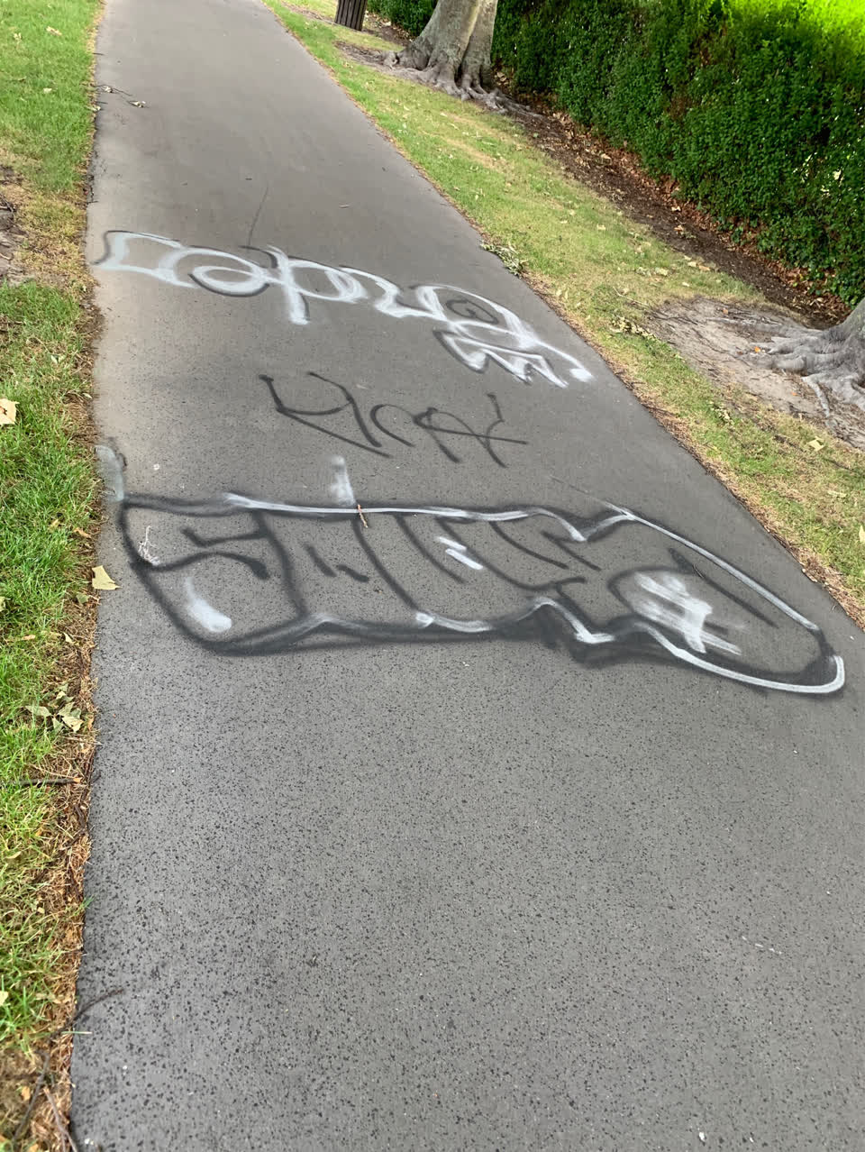 The photograph attached to this graffiti report