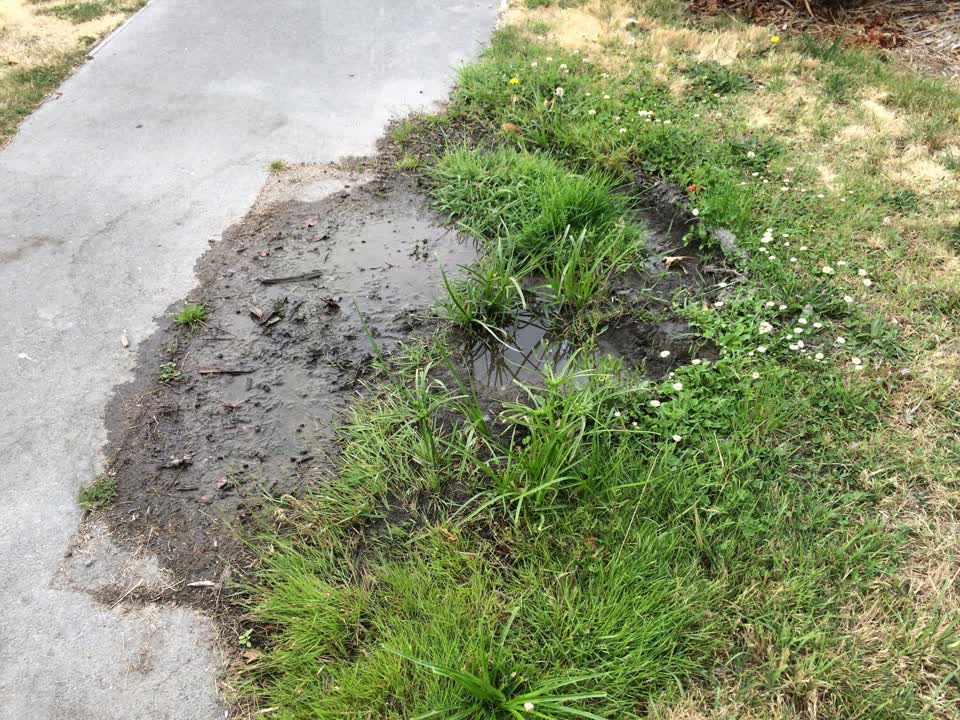 The photograph attached to this flooding report