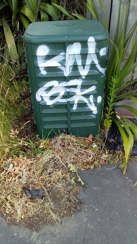 Graffiti, a report photo