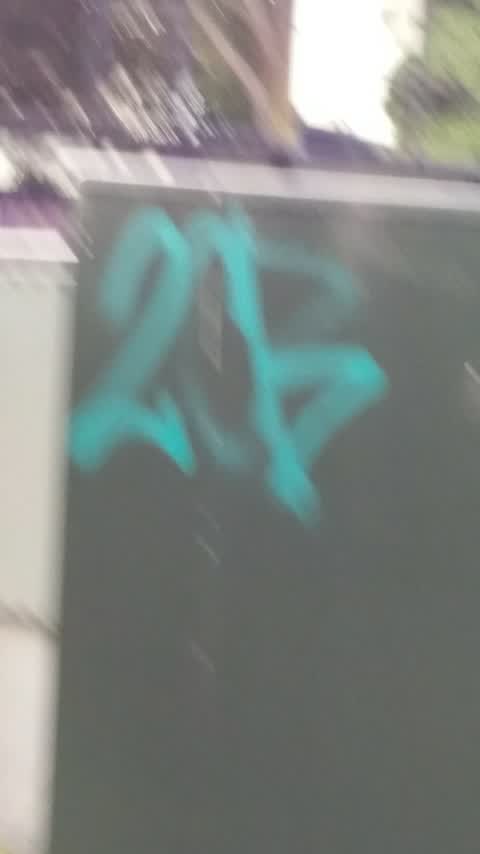 Graffiti, a report photo