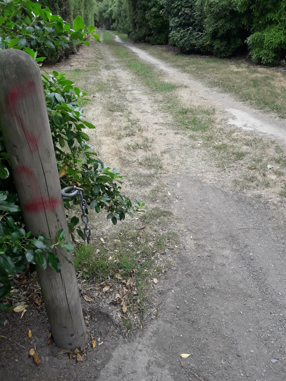 The photograph attached to this parks report