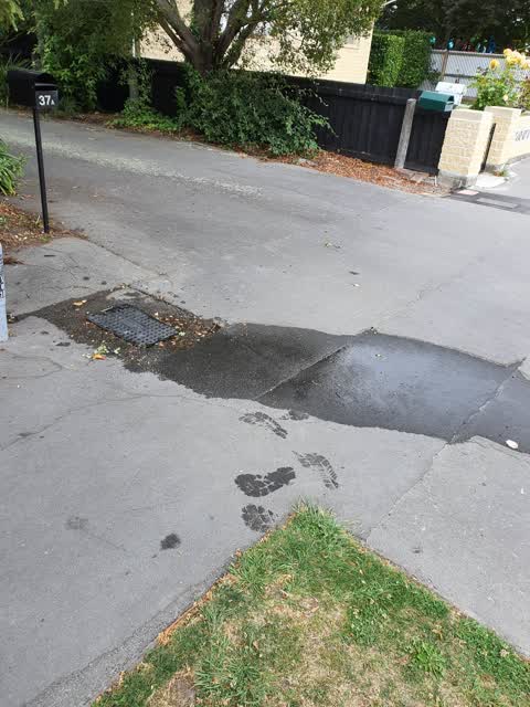 Water Supply, a report photo