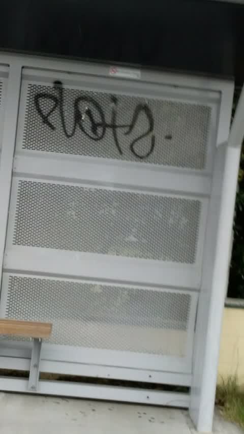 Graffiti, a report photo