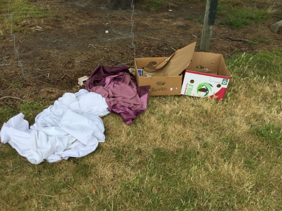 The photograph attached to this rubbish/recycling report