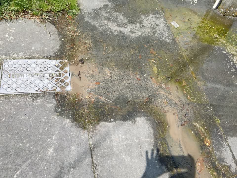 The photograph attached to this flooding report