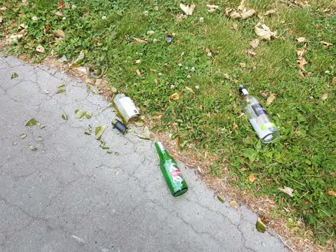 Parks — a report photo
