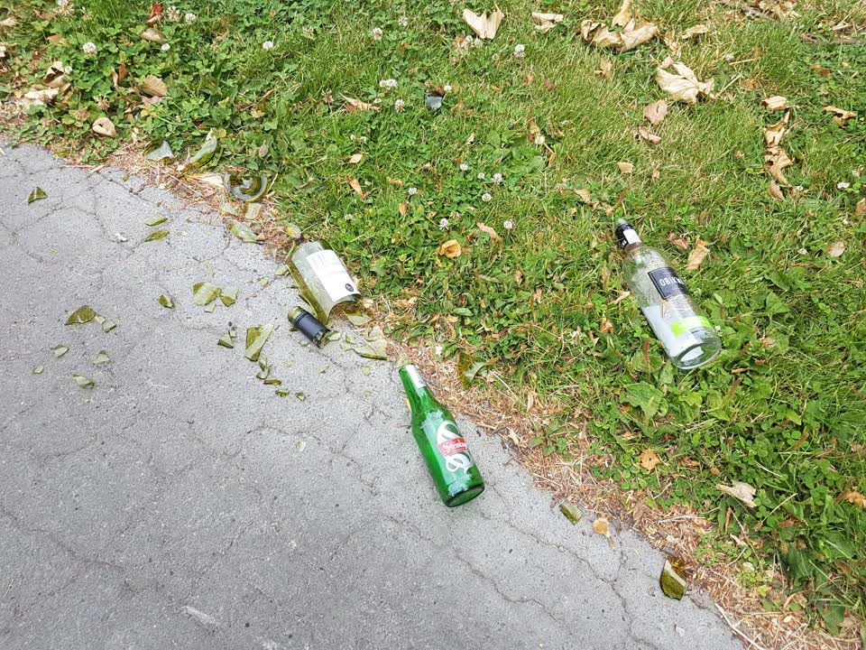 The photograph attached to this parks report
