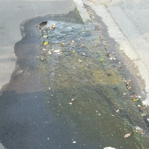 Water Supply, a report photo