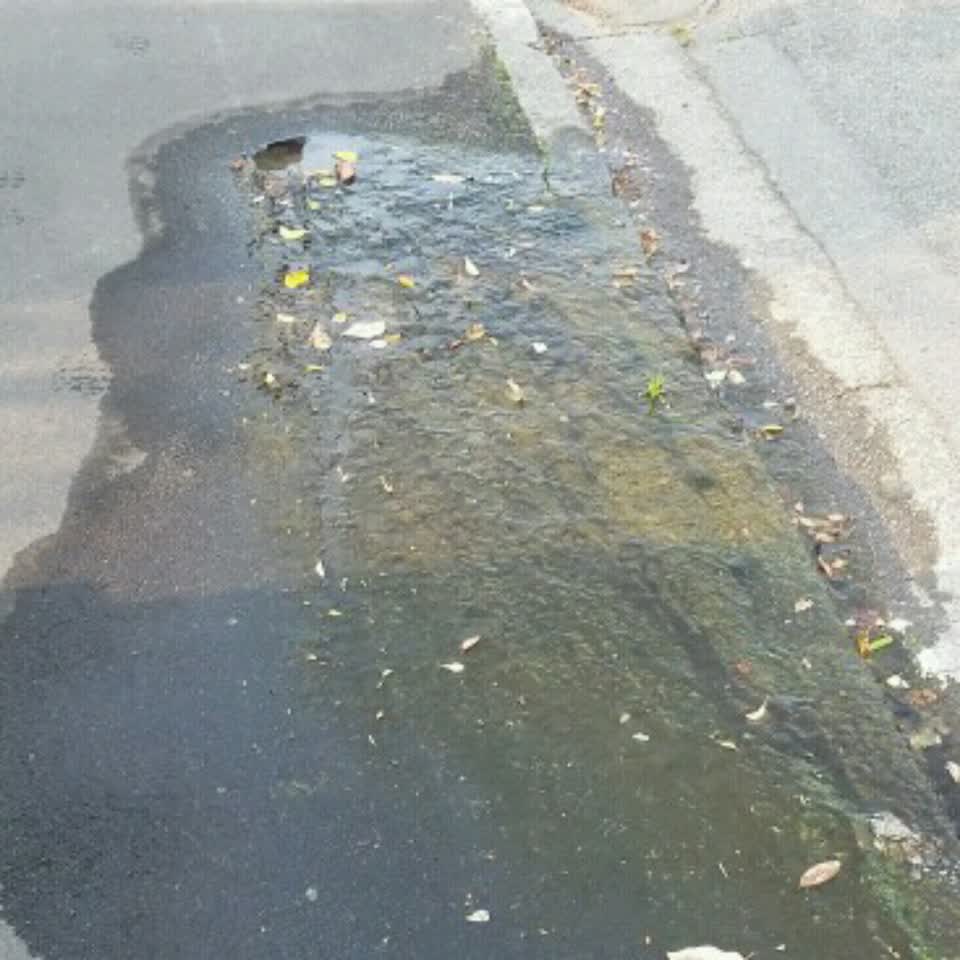 The photograph attached to this water supply report