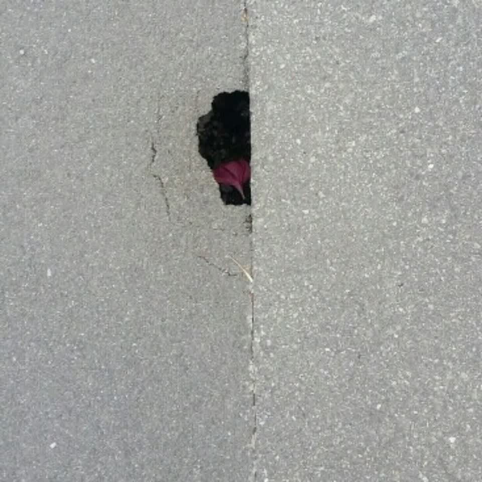 The photograph attached to this roading/streets report