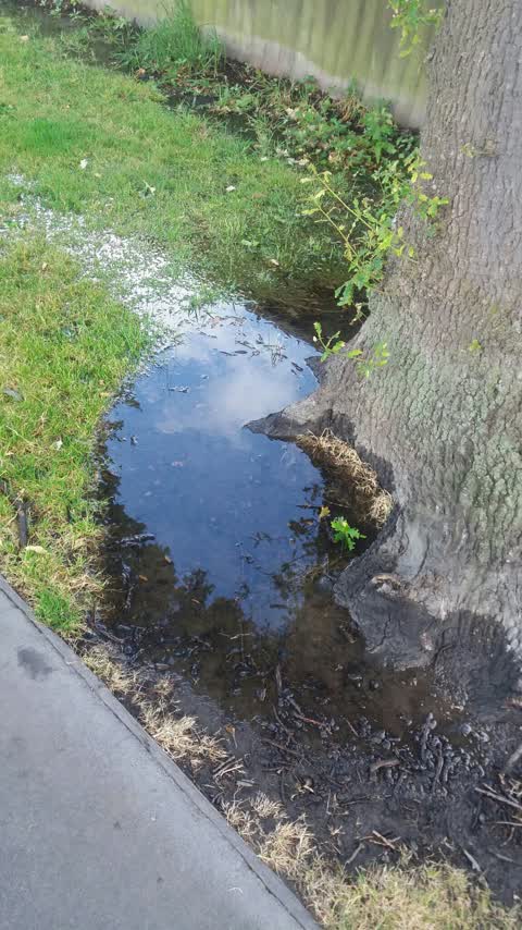 Flooding — a report photo