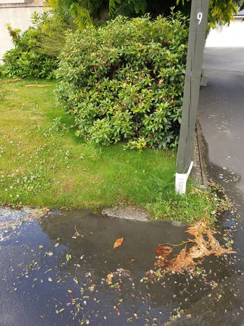 Wastewater/Stormwater, a report photo