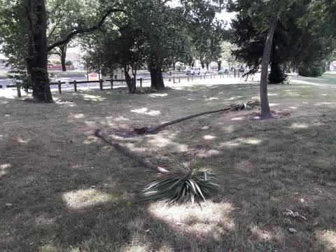 Parks — a report photo