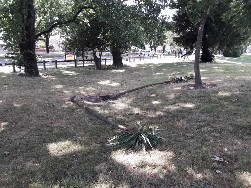 The photograph attached to this parks report