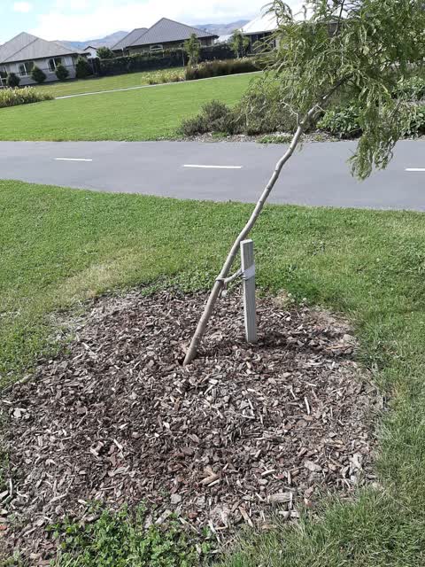 Parks, a report photo
