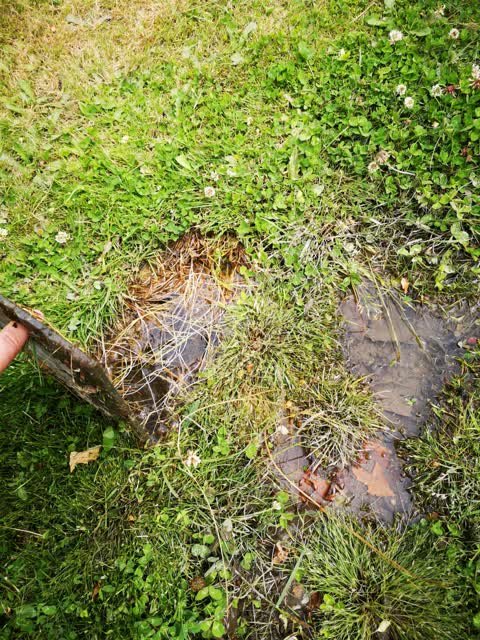 Water Supply, a report photo