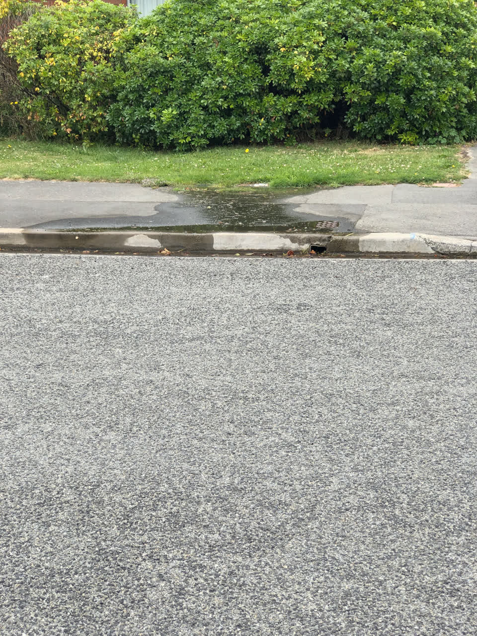 The photograph attached to this water supply report