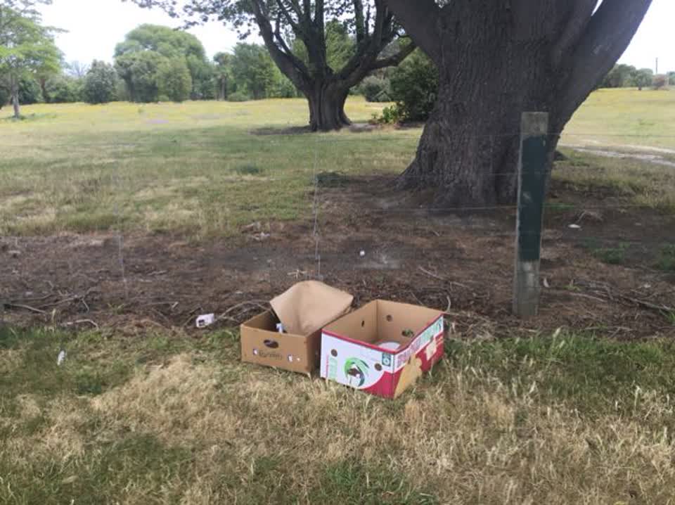 The photograph attached to this rubbish/recycling report