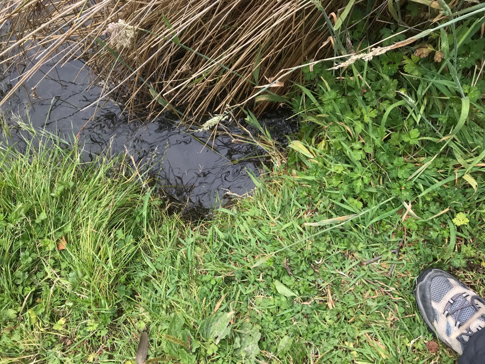 The photograph attached to this parks report