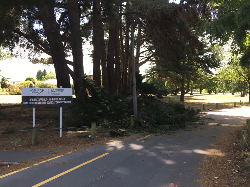 The photograph attached to this parks report